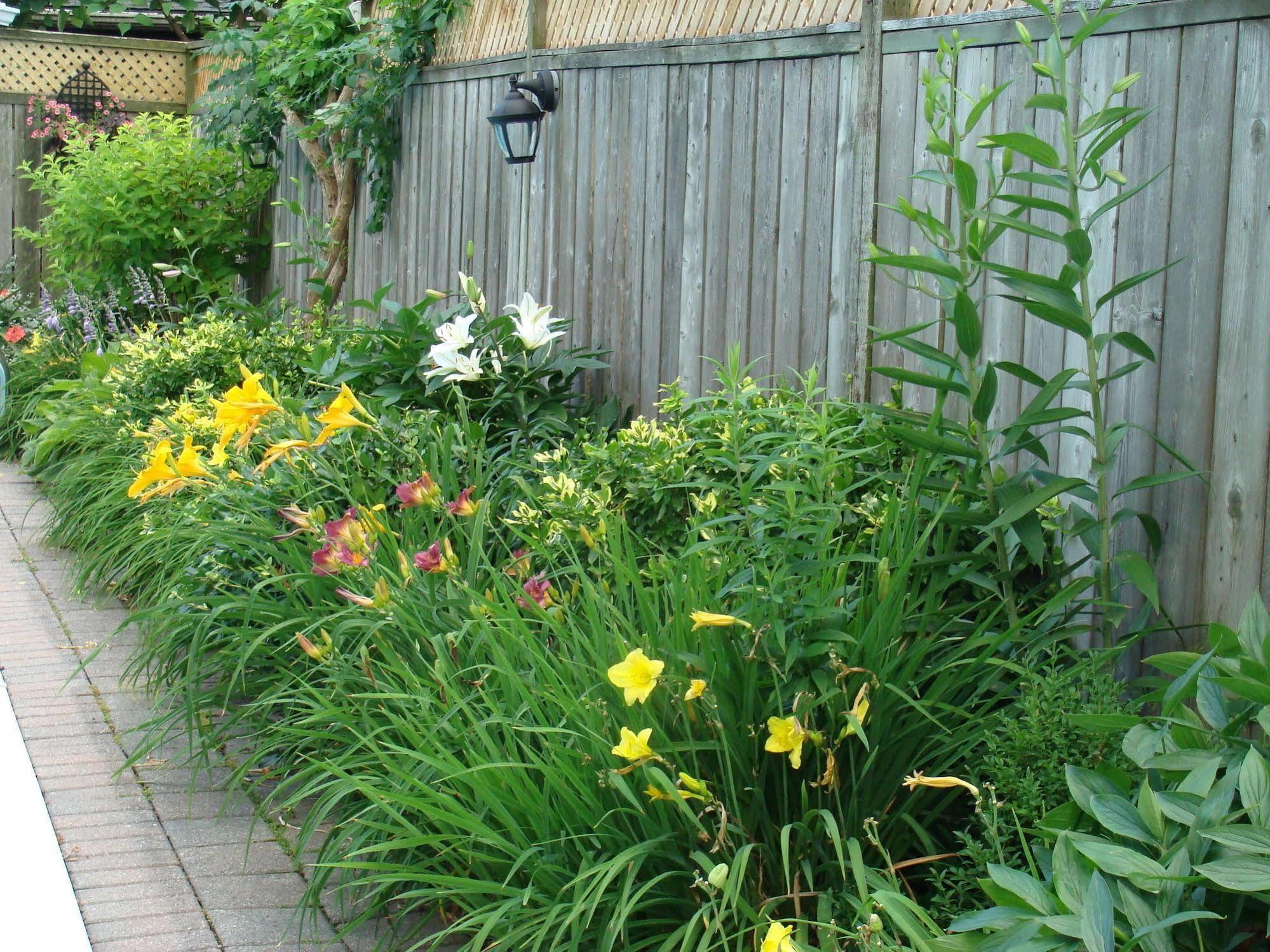 Bed and Breakfast Robinsong Thorold Exterior foto